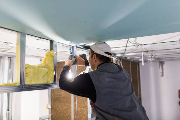 Best Energy-efficient Insulation  in Forest, VA