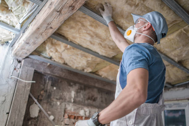 Best Insulation Contractors for Homes  in Forest, VA