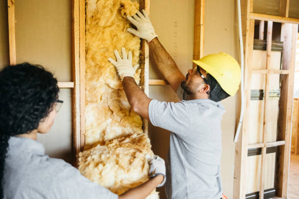 Best Insulation Removal  in Forest, VA