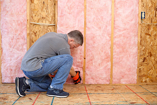 Best Fiberglass Insulation  in Forest, VA