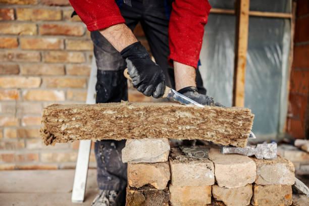 Best Wall Insulation Contractor  in Forest, VA