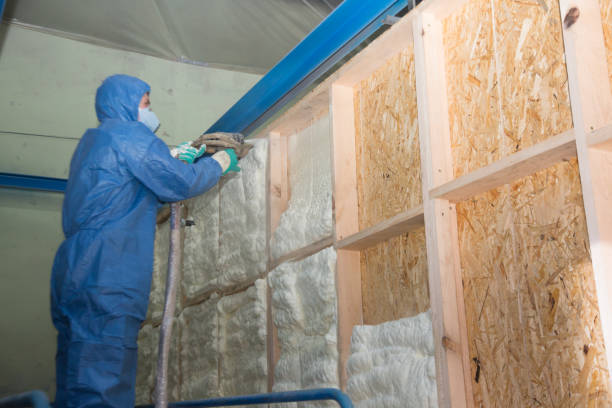 Best Blown-in Insulation  in Forest, VA