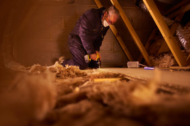 Best Best Insulation Companies  in Forest, VA